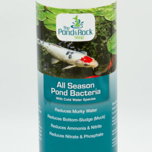 all season pond bacteria